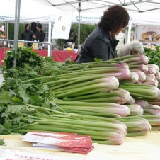 A Orbassano la fiera del sedano rosso domenica 21 ottobre. Organizza Confesercenti