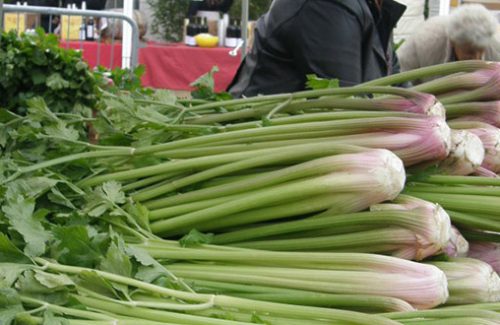 Sedano rosso, il 20 ottobre a Orbassano la sedicesima edizione della fiera. Ecco il programma
