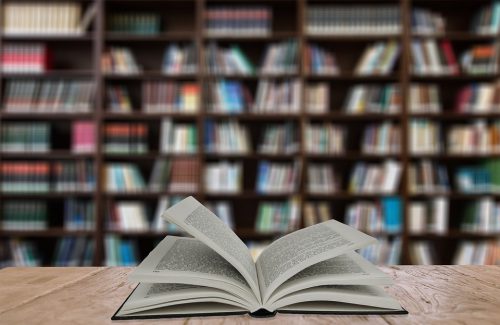 Librerie e cartolibrerie, a Torino per i testi delle elementari arrivano le cedole virtuali. Sil-Confesercenti: “Un buon risultato, che limita gli abusi”