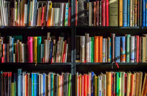 Tax credit librerie, pubblicato elenco dei beneficiari. Sil-Confesercenti: “Sono in crescita, la nostra campagna tra gli associati ha funzionato”