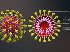 Coronavirus, i provvedimenti ufficiali rivolti a cittadini e imprese (in aggiornamento)