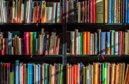 Tax credit librerie, pubblicato l’elenco di quelle ammesse al beneficio per il 2023. Sil-Confesercenti: “Il bonus fiscale si conferma un successo, ma è l’unico sostegno rimasto al comparto”