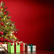 In occasione delle festività natalizie le sedi Confesercenti saranno chiuse mercoledì 28, giovedì 29 e venerdì 30 dicembre. Confesercenti augura buone feste